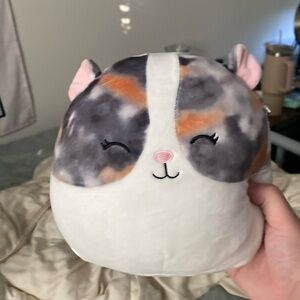 Pax squishmallow 8” with tag